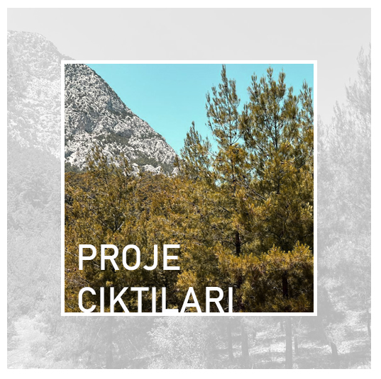 Proje Çıktıları