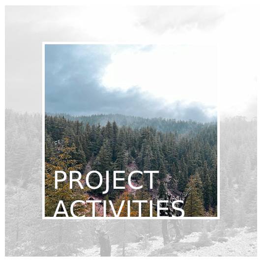 Project Activities