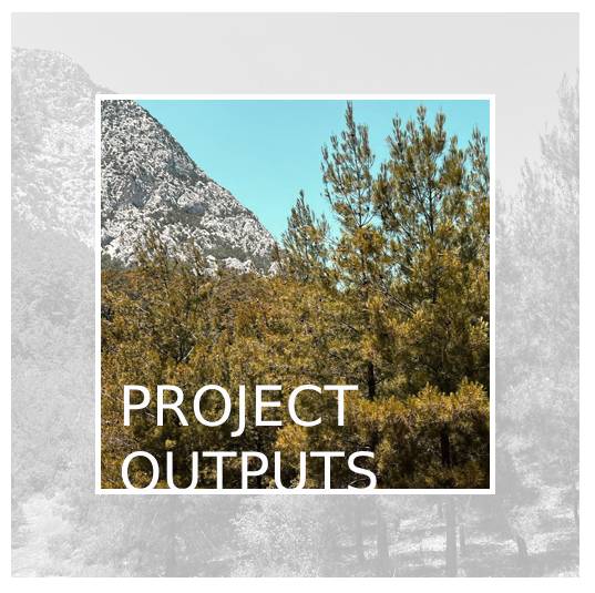 Project Outputs