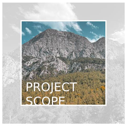 Project Scope