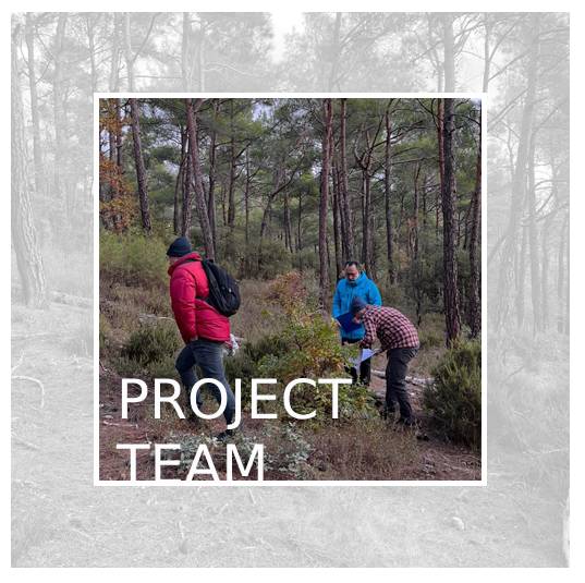 Project Team