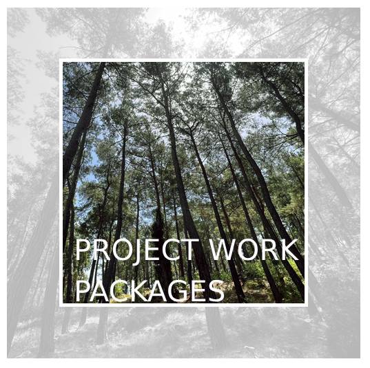 Project Work Packages