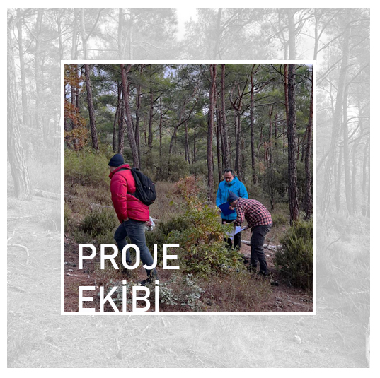 Proje Ekibi