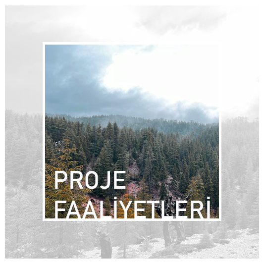 Proje Faaliyetleri
