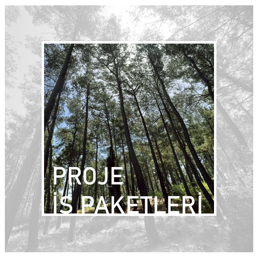 Proje İş Paketleri