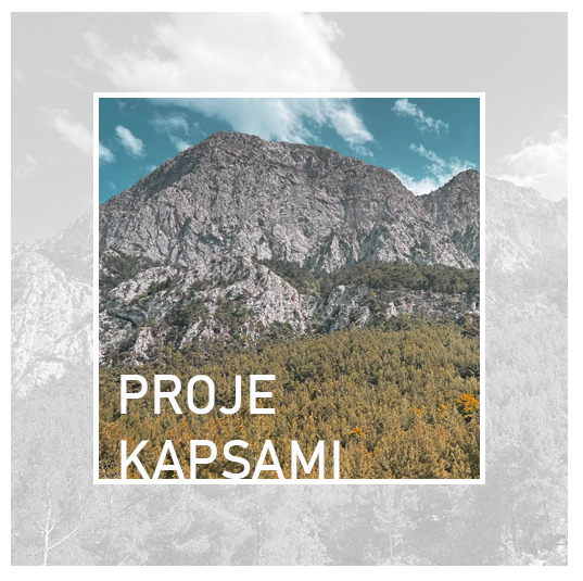 Proje Kapsamı